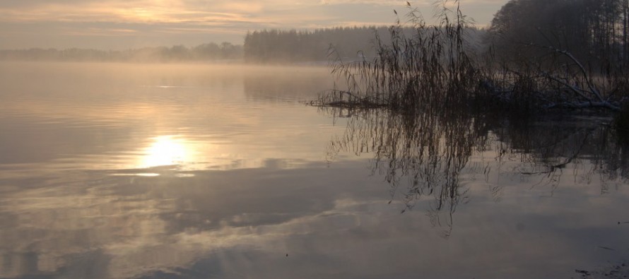 Winterspaziergang